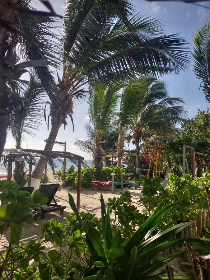 Lunazul Eco-Cabana Frente Al Mar マアウアル エクステリア 写真