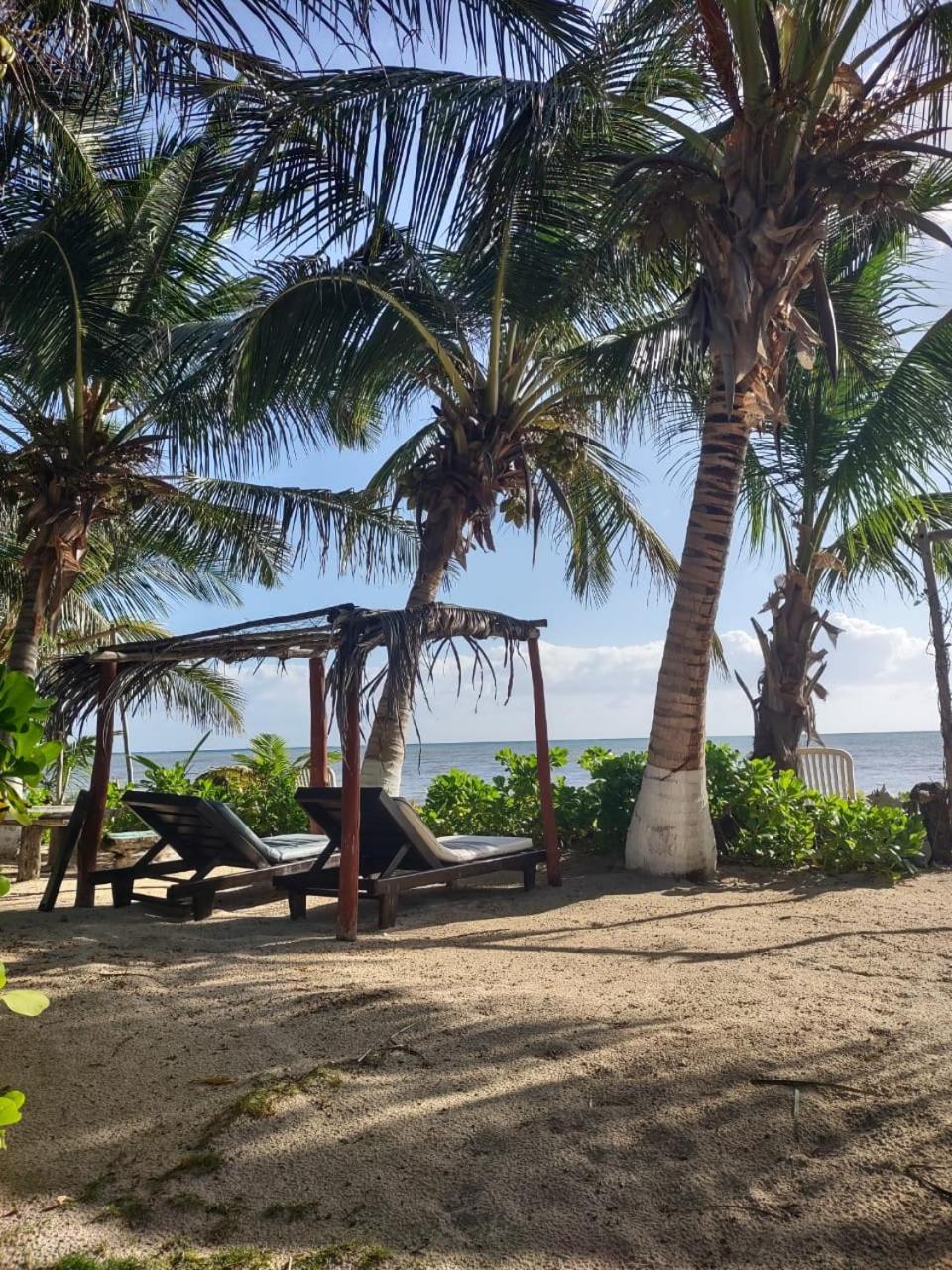 Lunazul Eco-Cabana Frente Al Mar マアウアル エクステリア 写真