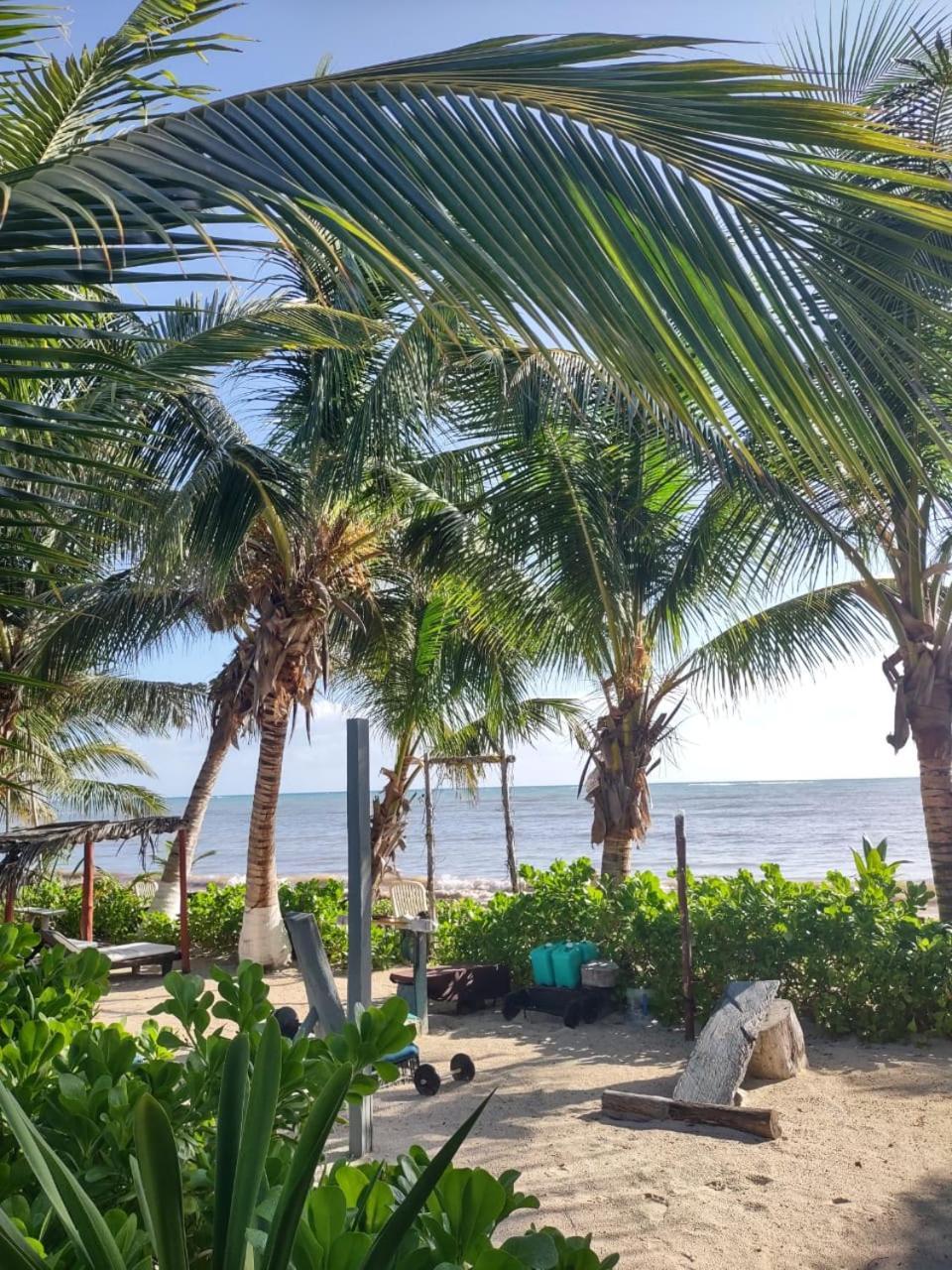 Lunazul Eco-Cabana Frente Al Mar マアウアル エクステリア 写真