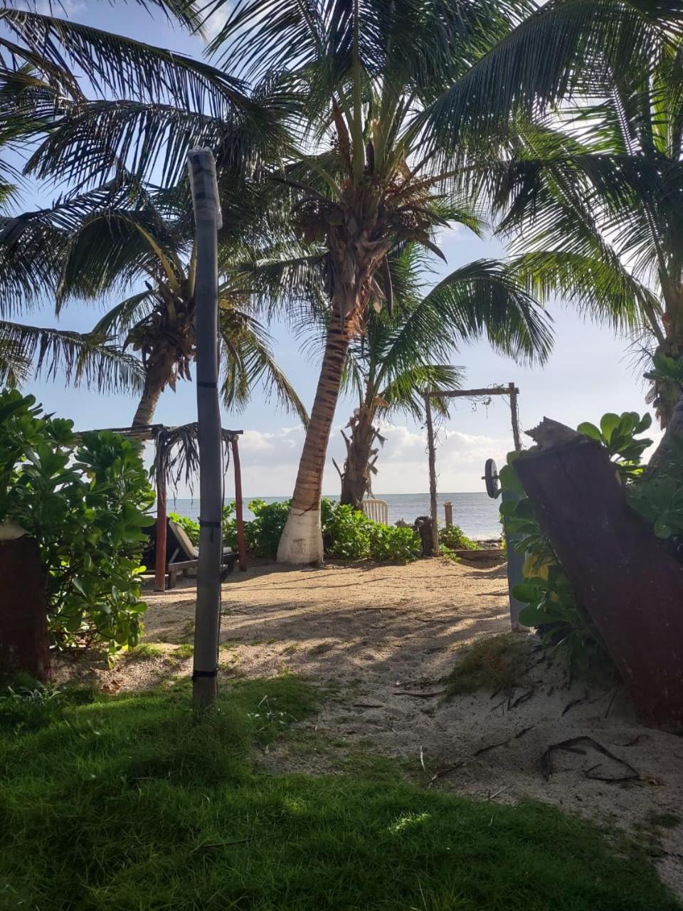 Lunazul Eco-Cabana Frente Al Mar マアウアル エクステリア 写真