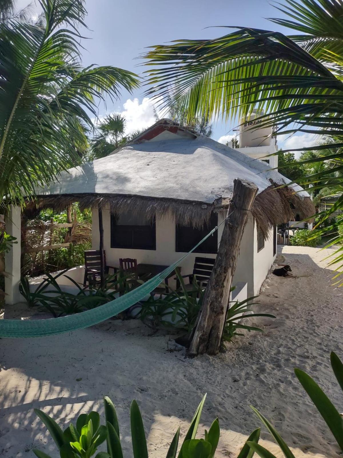 Lunazul Eco-Cabana Frente Al Mar マアウアル エクステリア 写真