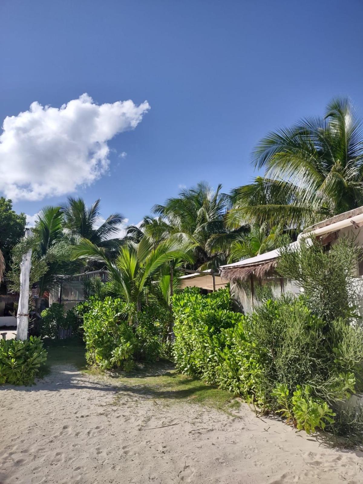 Lunazul Eco-Cabana Frente Al Mar マアウアル エクステリア 写真