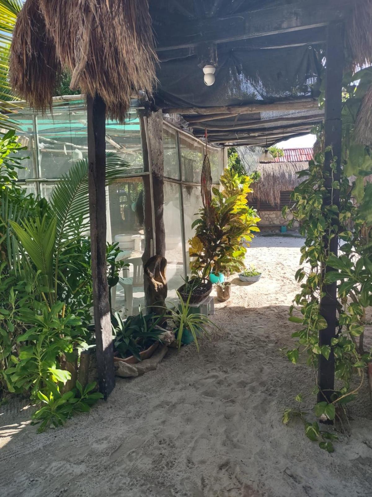 Lunazul Eco-Cabana Frente Al Mar マアウアル エクステリア 写真